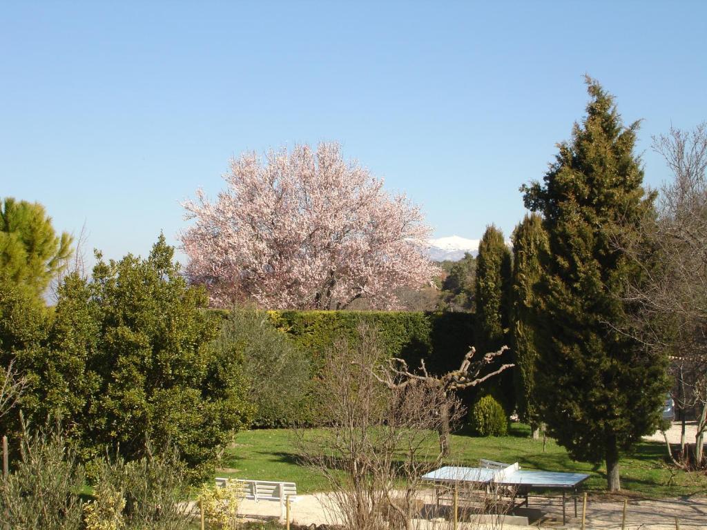 Domaine De La Grange Neuve Hotel La Roque-sur-Pernes Eksteriør billede